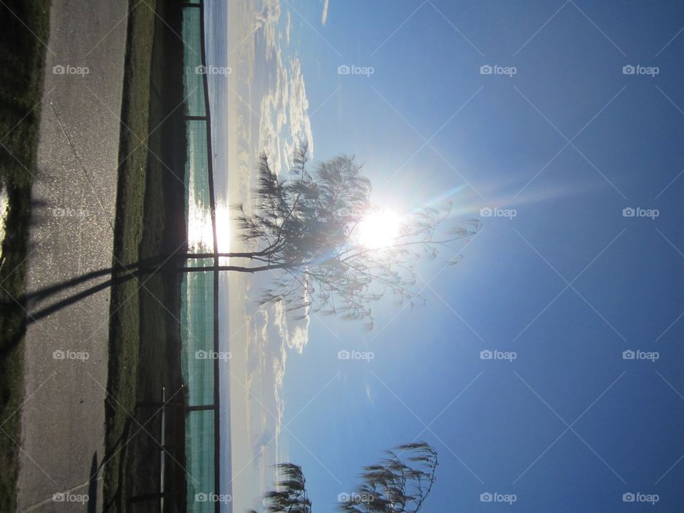 Sunrise through the tree