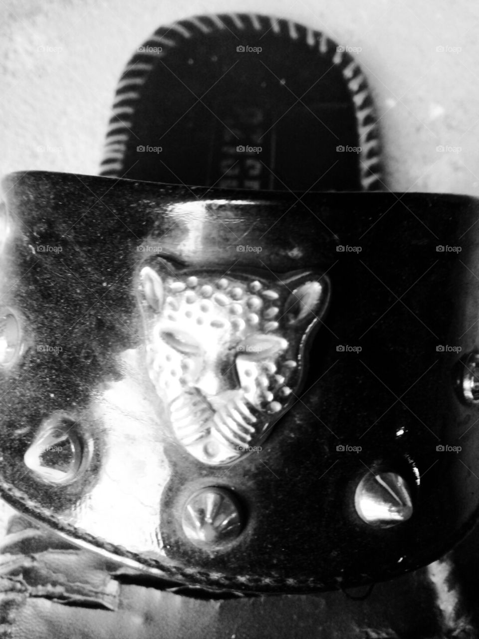 b&w picture,nice b&w photo,Nice photo,Natural photo,Memorable photo,A wonderful photo,A beautiful photo,Amazing photo,Best photo,Real photo,A photo for you,Special photo for special,Very good photo for you,Preserve photo,Wow click photo