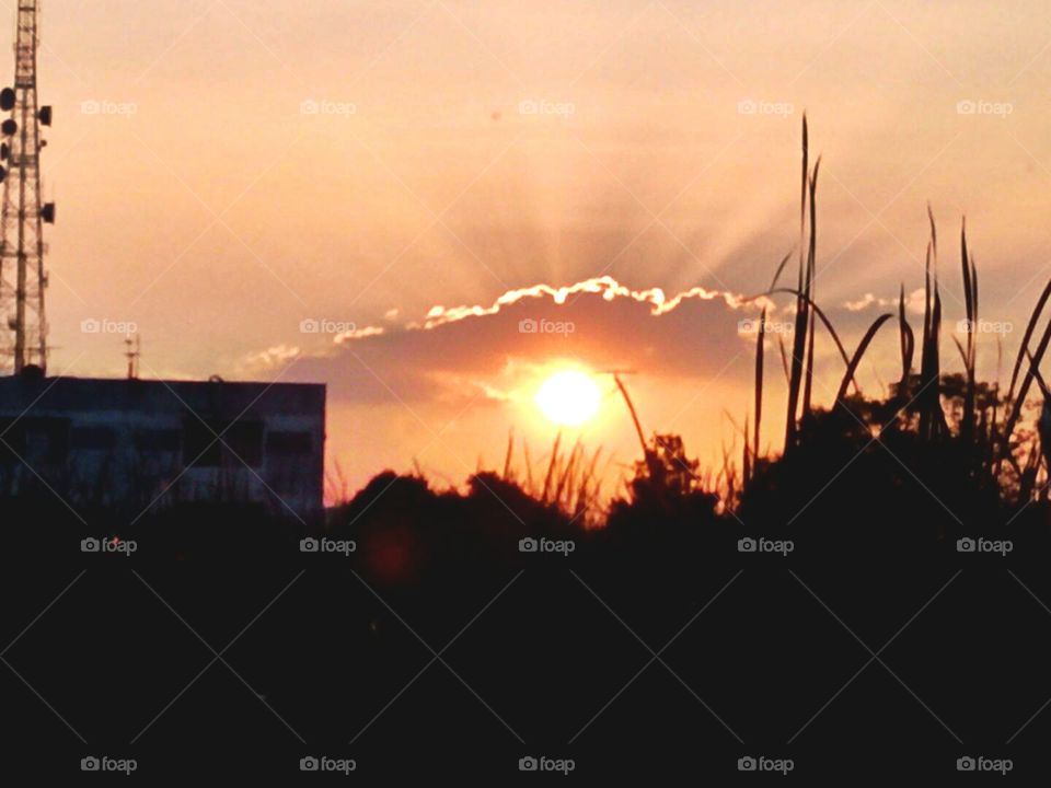 Sunsets. Opened last disappear