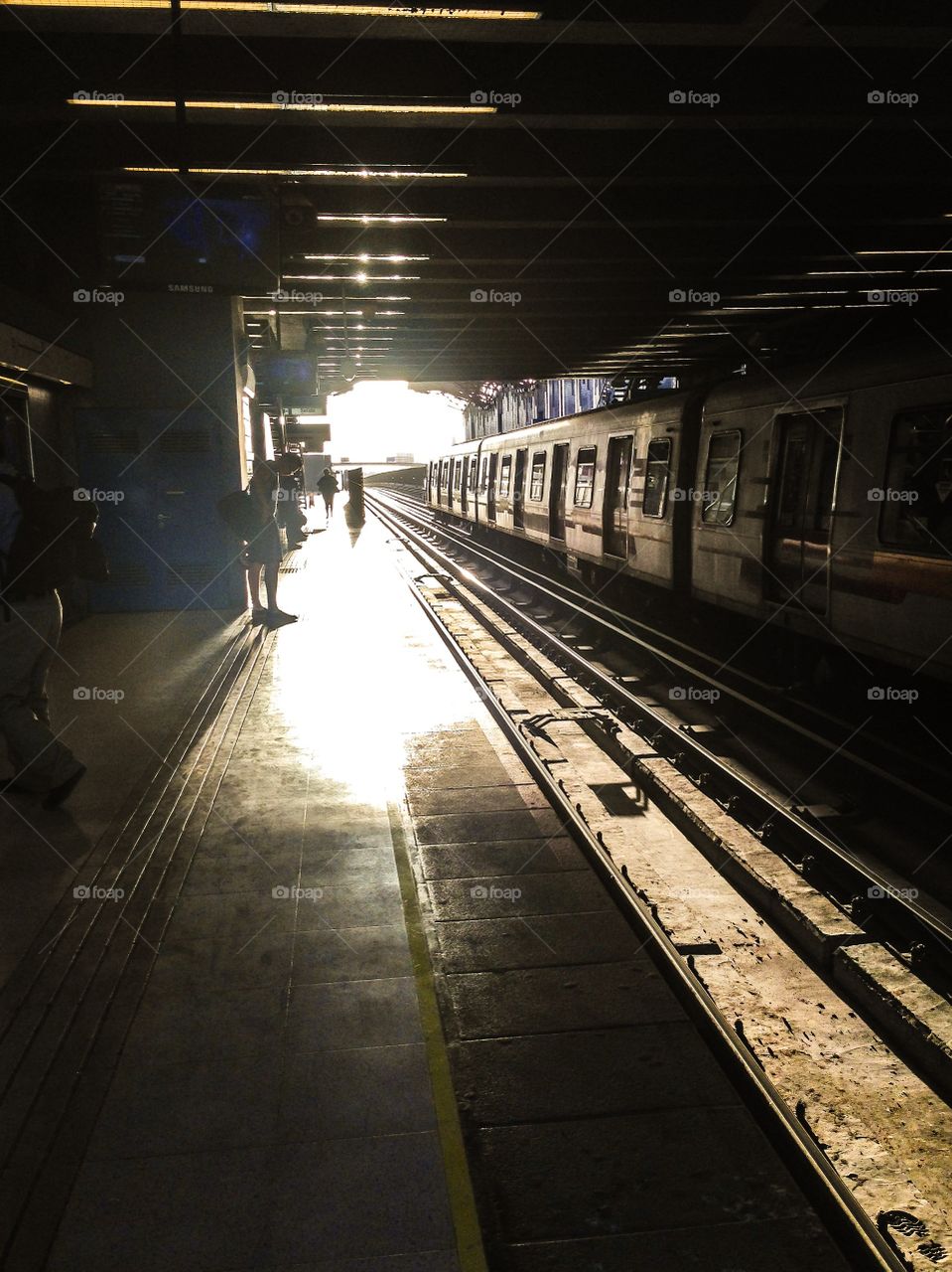 Looking for a trip  and waiting for an adventure 