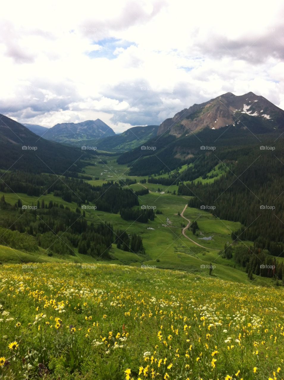 Fresh Mountain Valley. Taken from 401 trail just outside of Crested Butte, CO