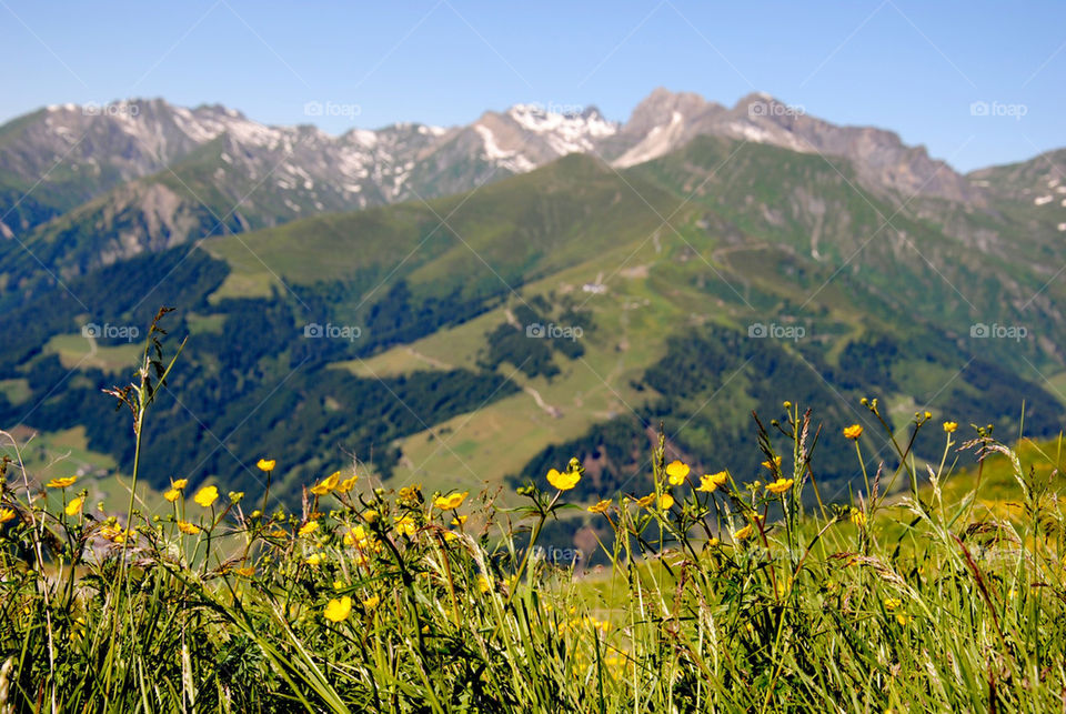 HEAVEN IS A PLACE ON EARTH