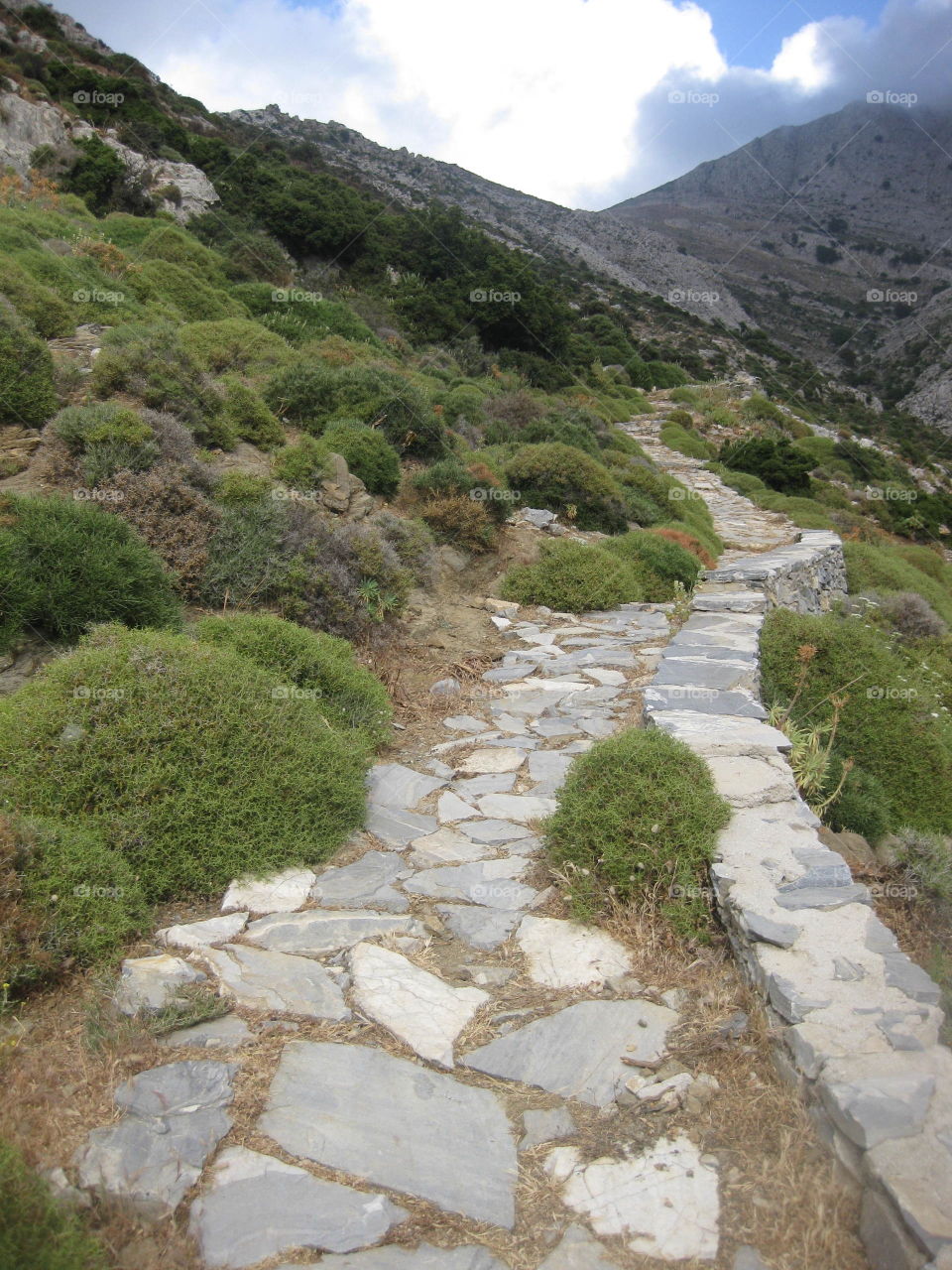 Mt.Zas pathway 