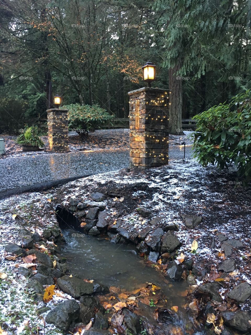 First hale in our neighborhood !