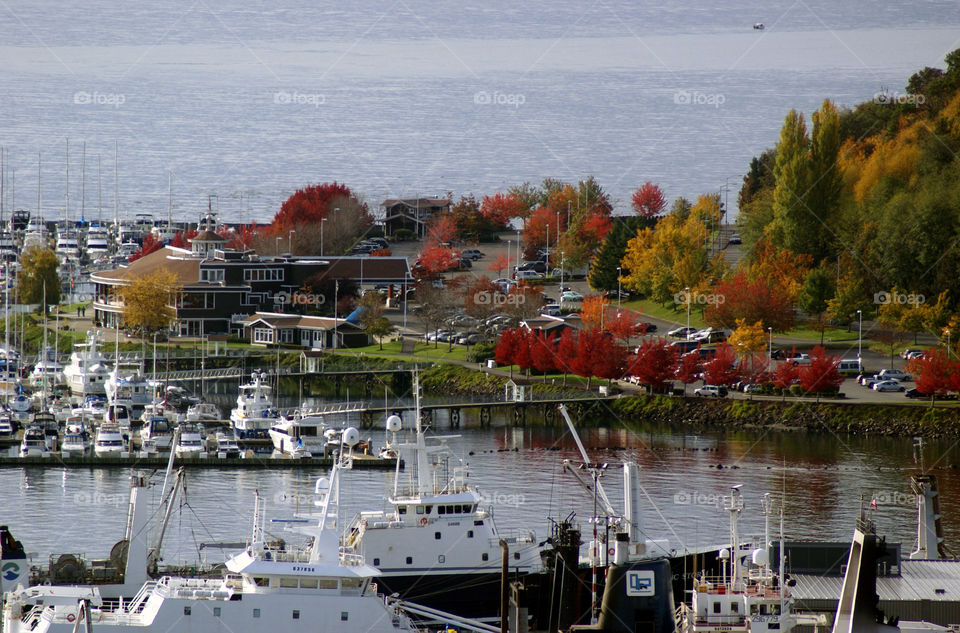 View of Queen Anne, Seattle, Washington in the fall