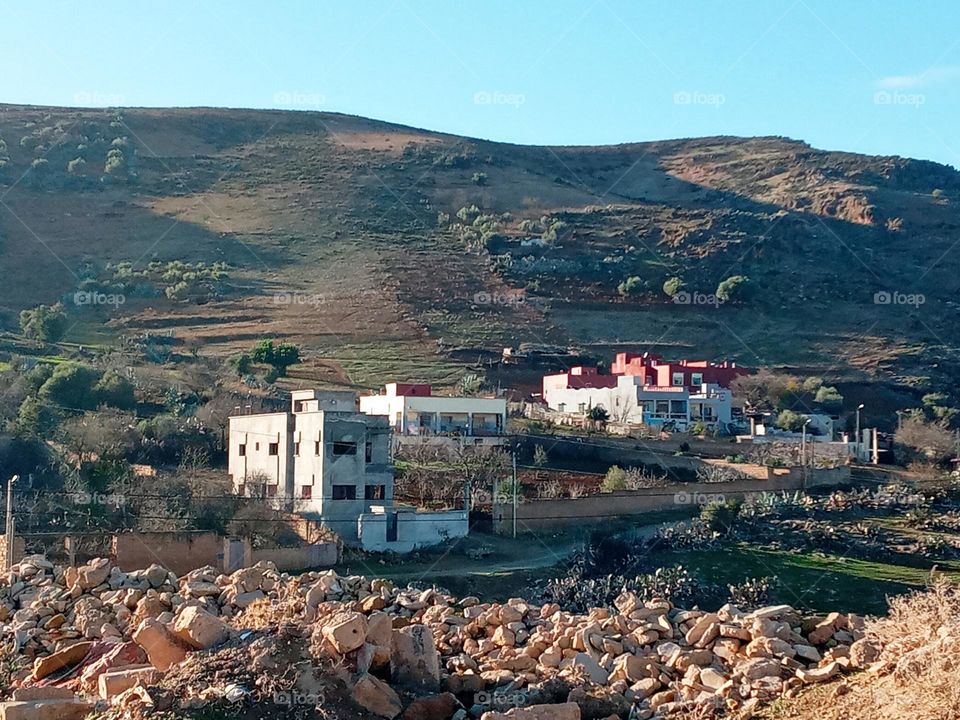 The best of nature 2021