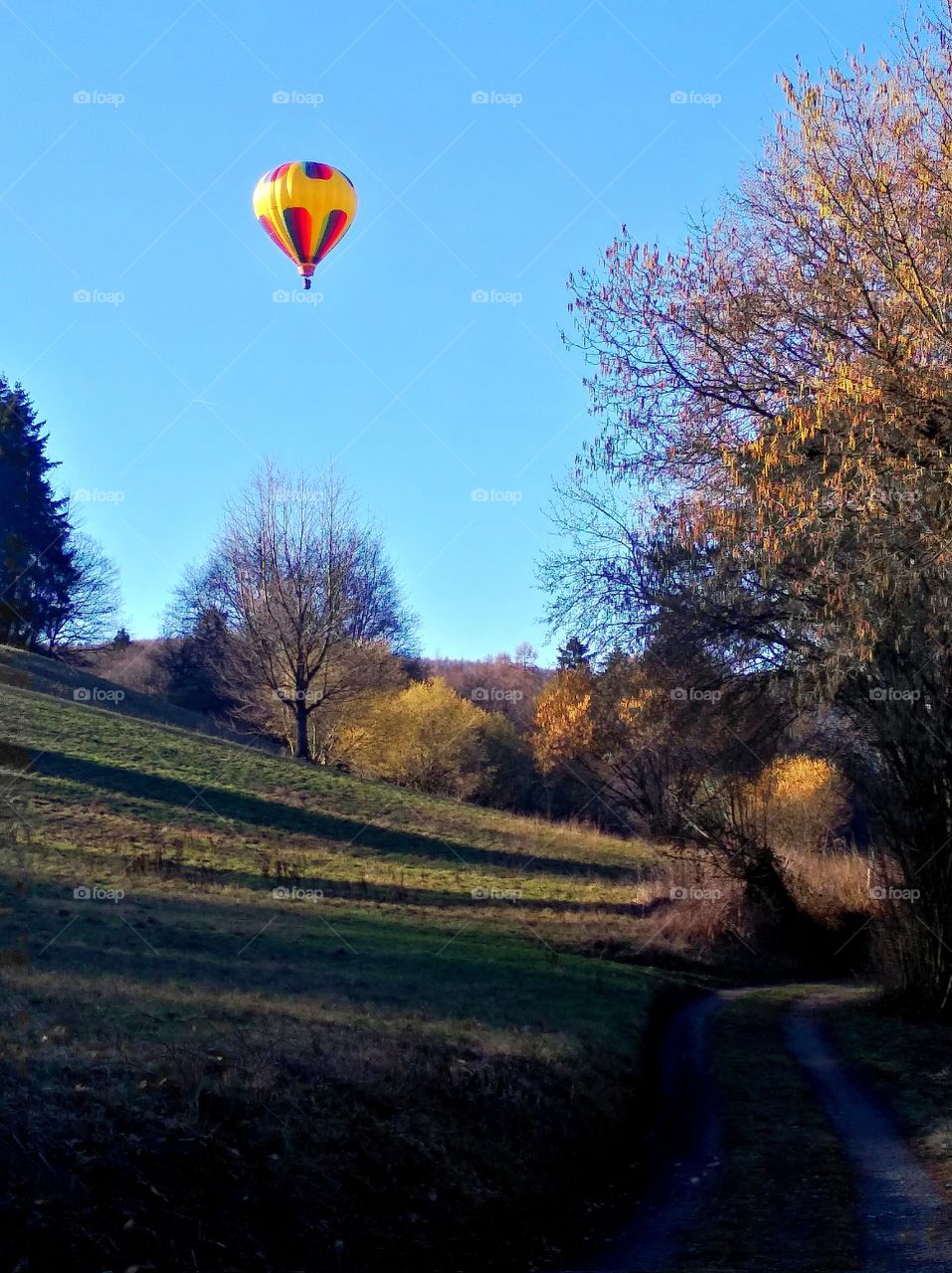 beautiful landscape with balloon