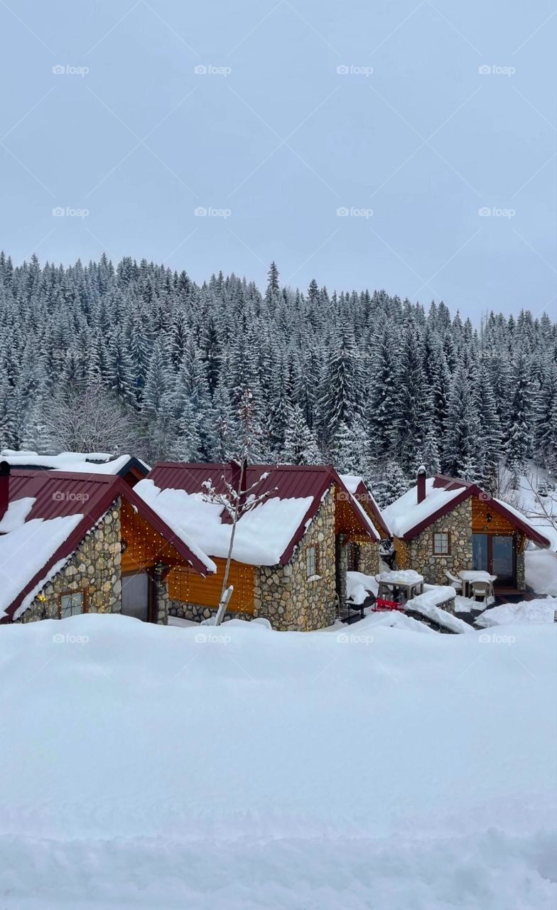 Winter's embrace, a cabin's warmth, and the quiet whisper of snow-laden pines."