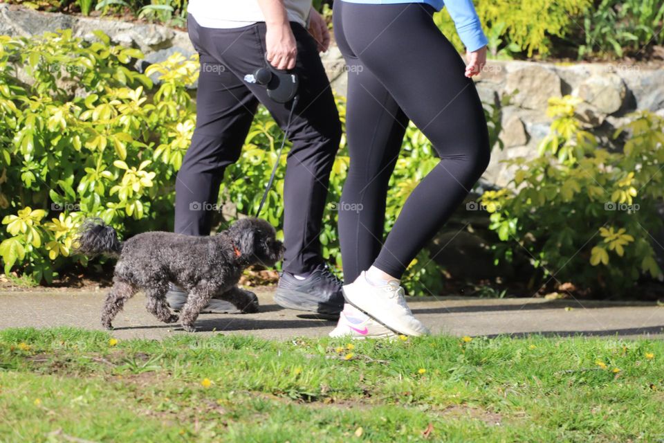 Couple walking with their dog