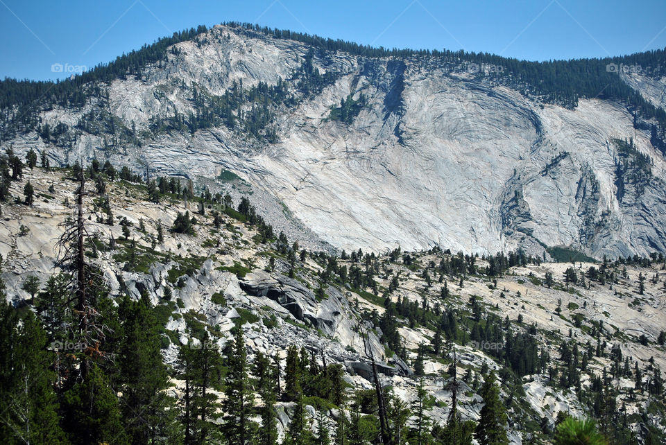 Scenic view of tenaya canyon in california