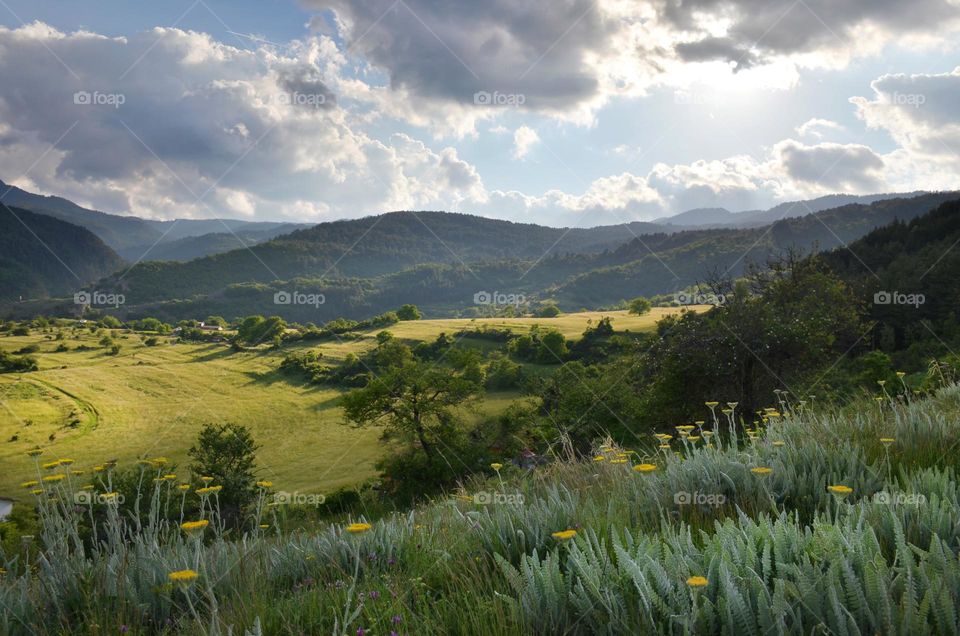 Rhodope Mountain, Bulgaria