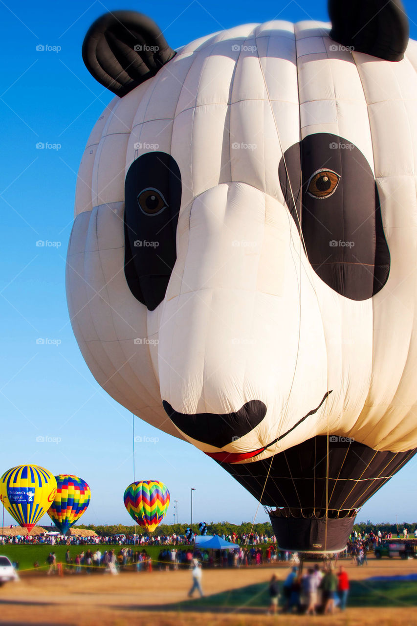 Panda hit air balloon