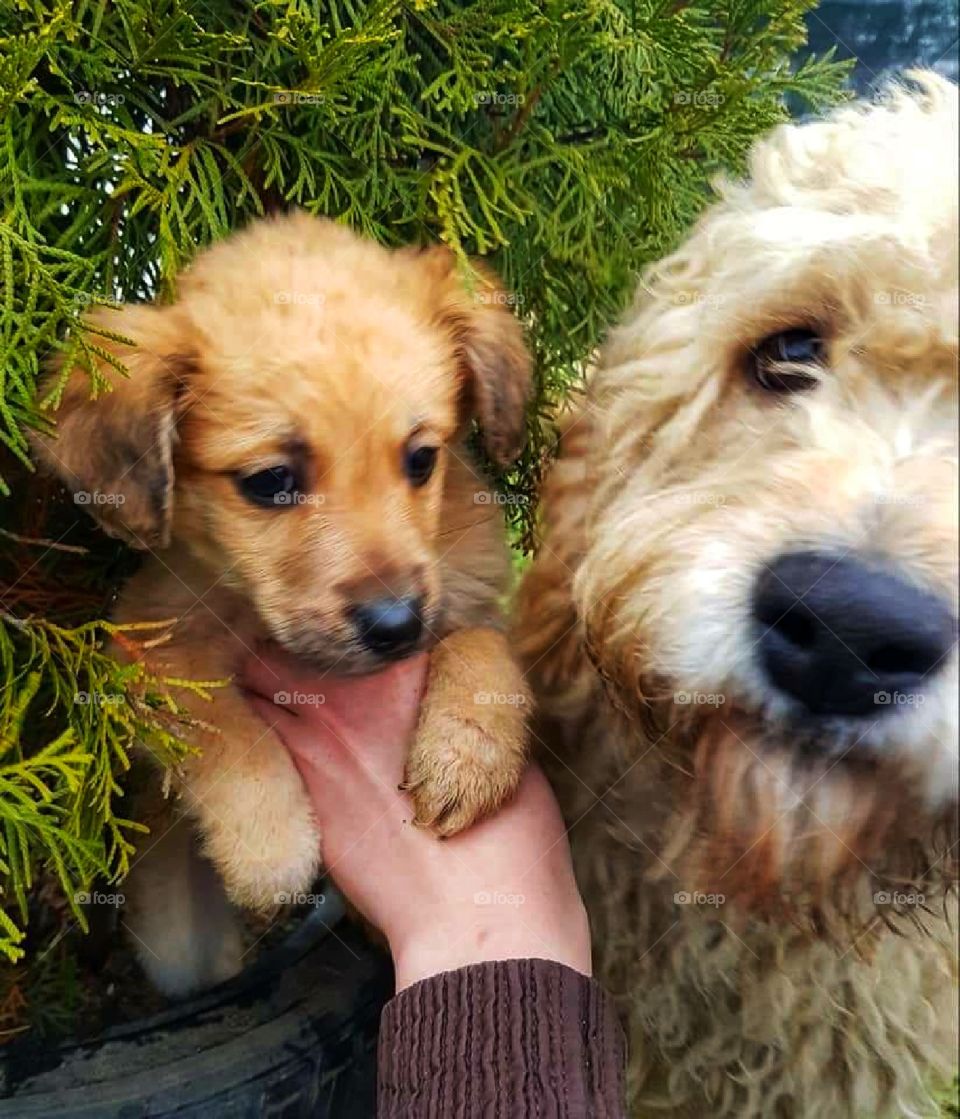 Mother and baby picture