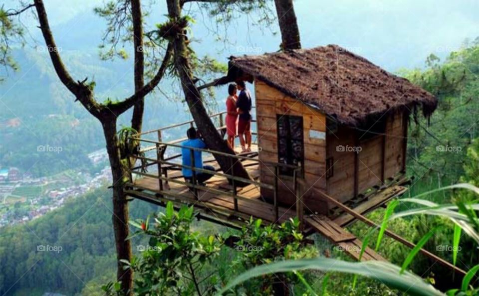 tree House