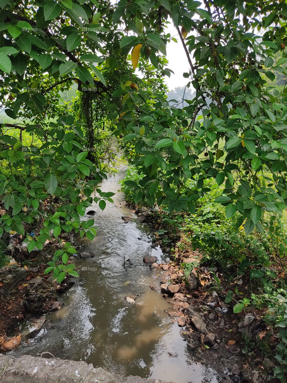 water💦💦💦💦 drainage