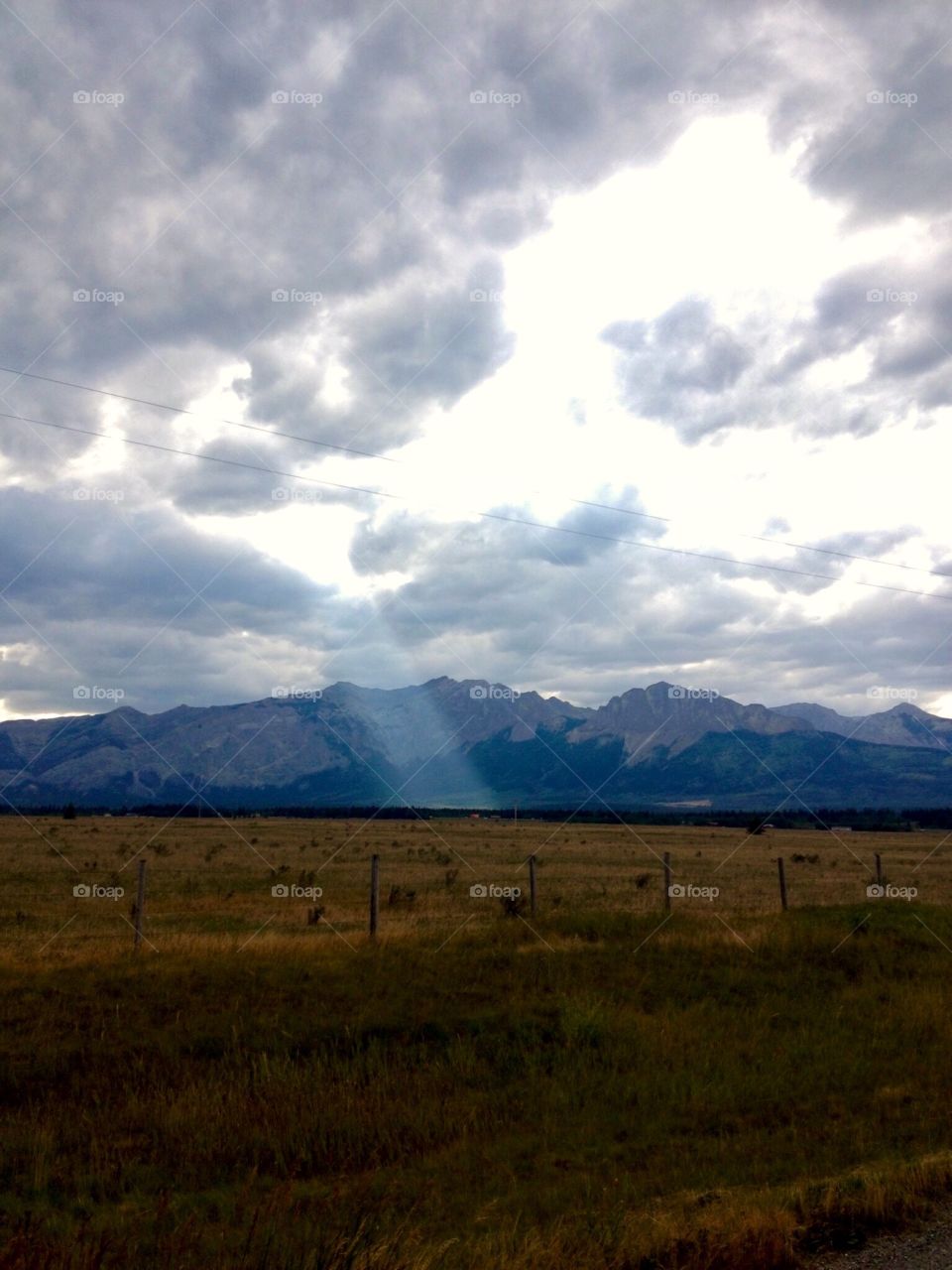 Let the sun shine in