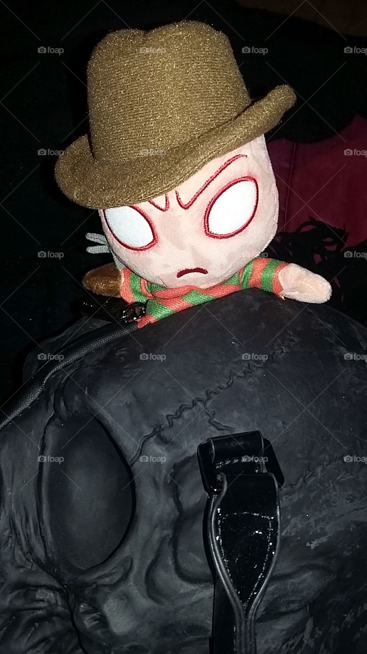 Freddy in a Skull purse