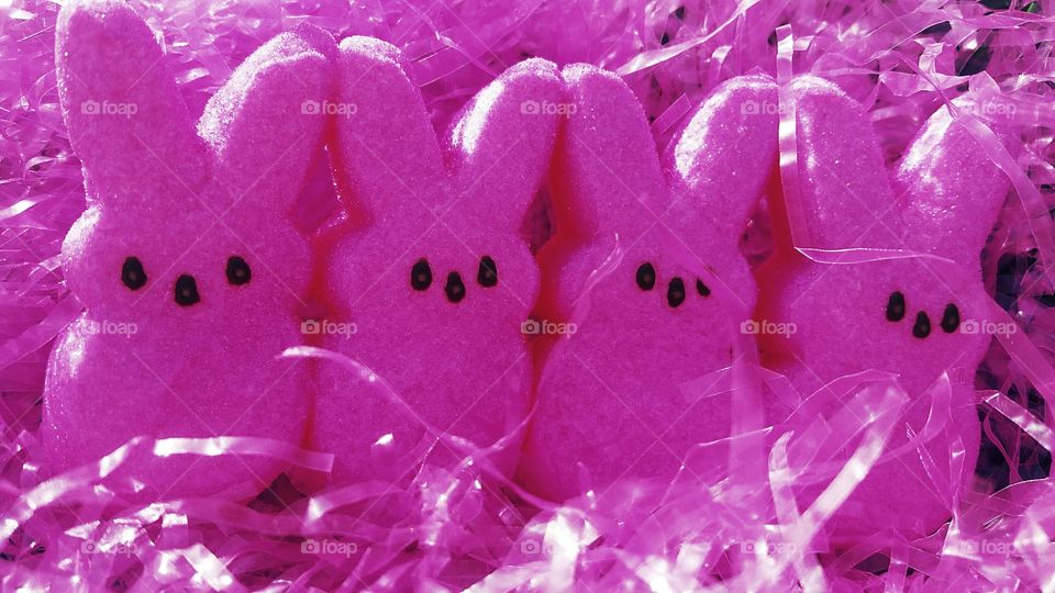 Close-up of pink candies