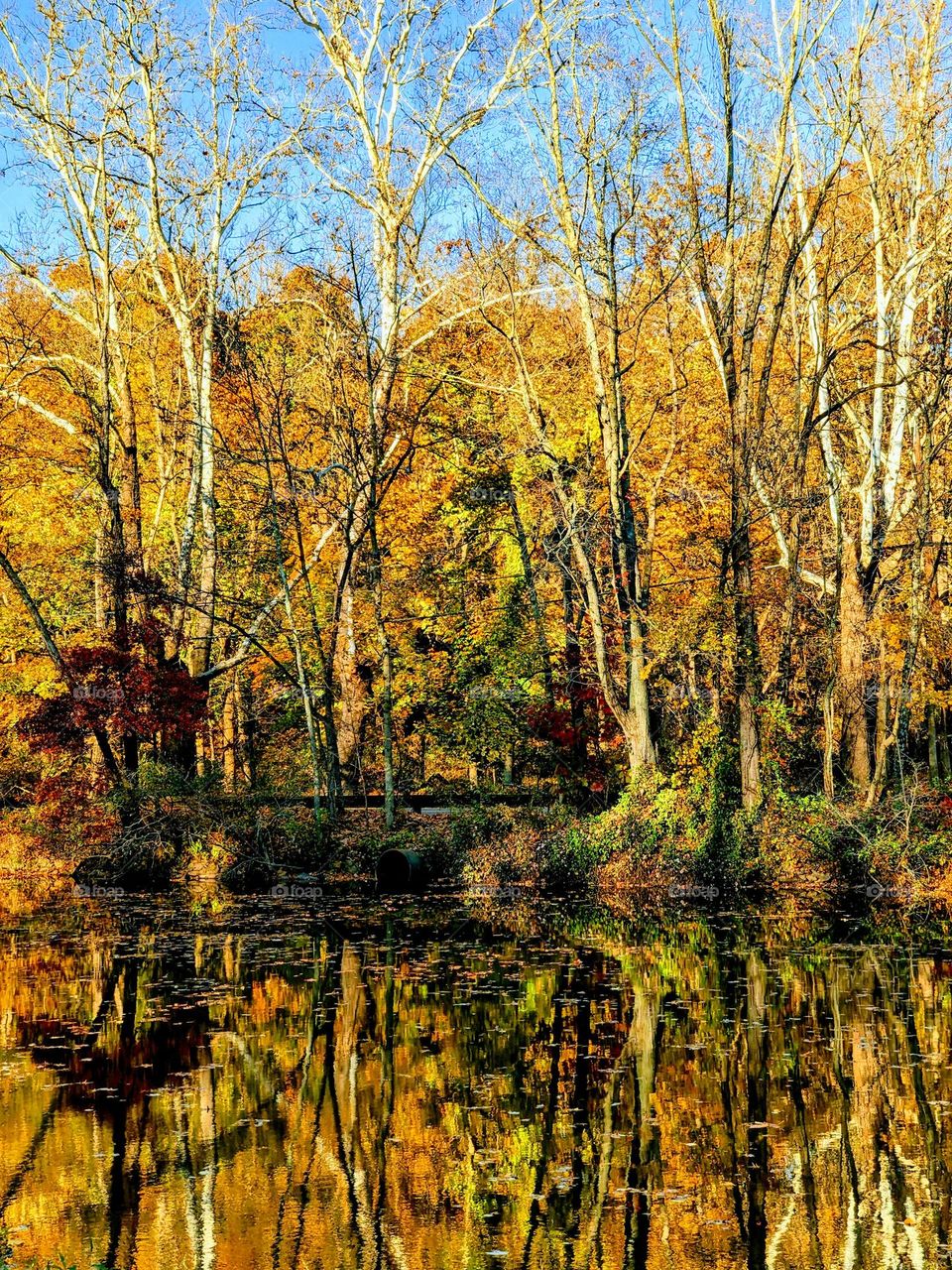 Autumn Lake