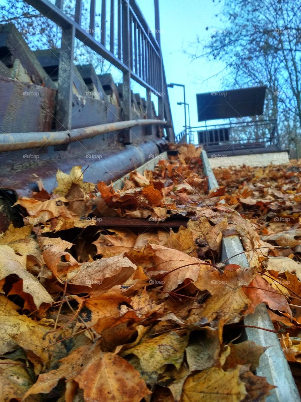 Autumn landscape on the walking stairs. Bottom view
