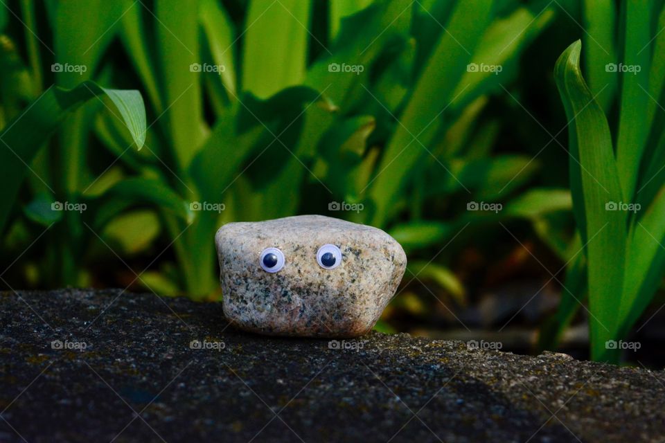 Rock #I forget which number