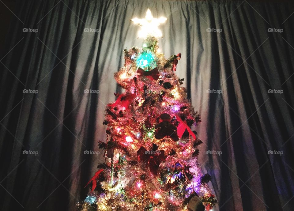 Traditional Christmas tree 