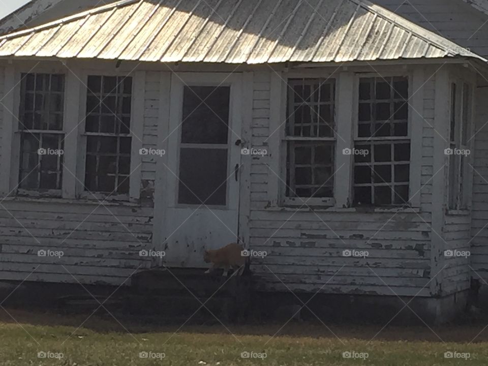 House, Home, Window, Building, Family