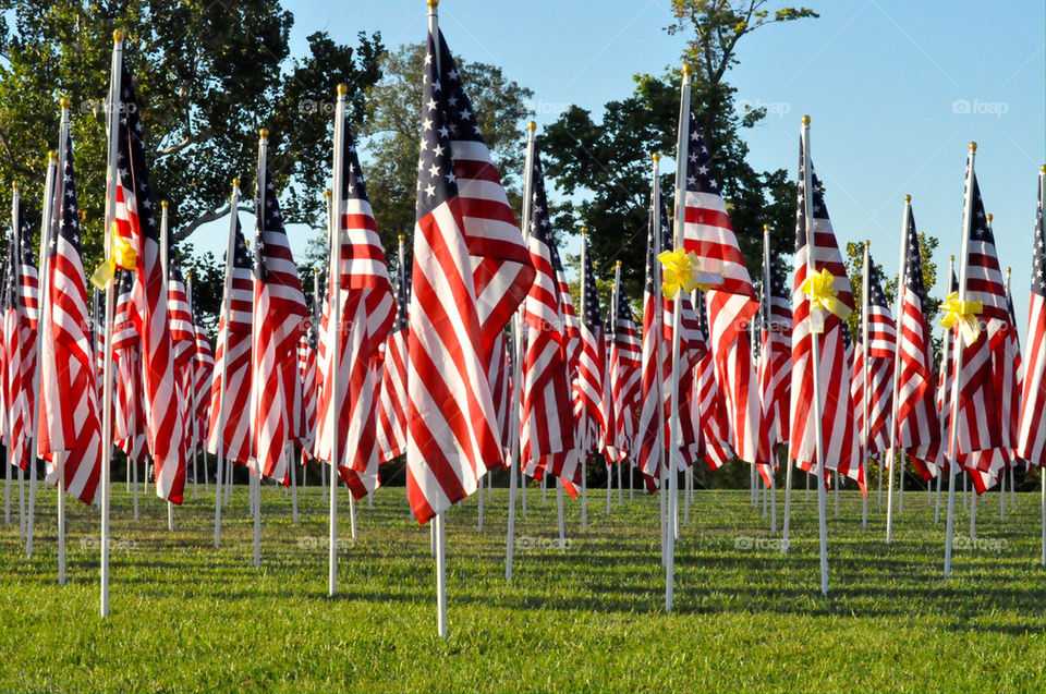 Flags