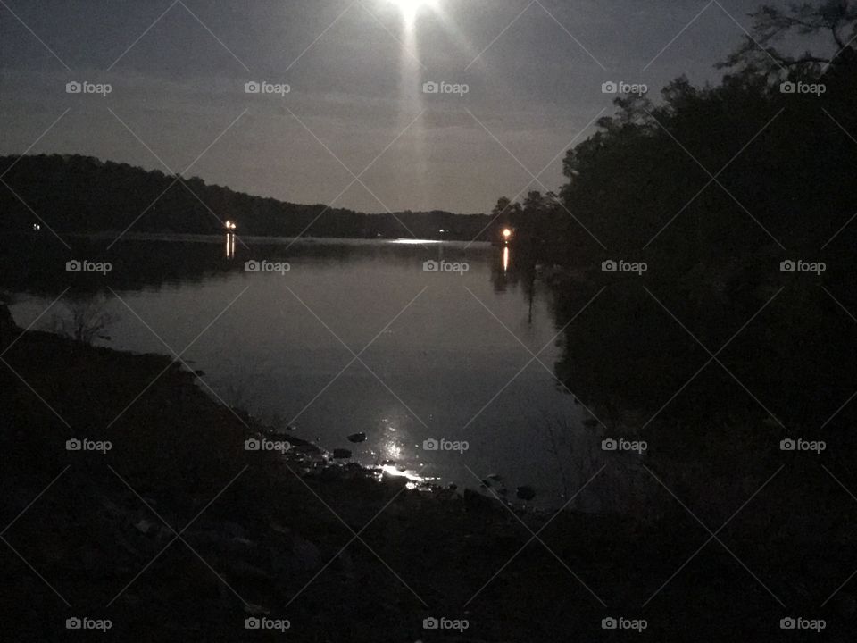 Moonlight by the Lake