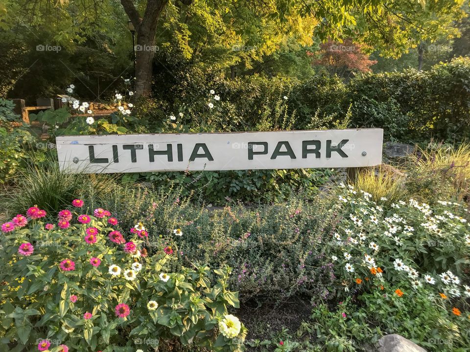 The coin to my travels, Lithia Park. The place that hold my mind in sanctitude, perfect confined solitude. 