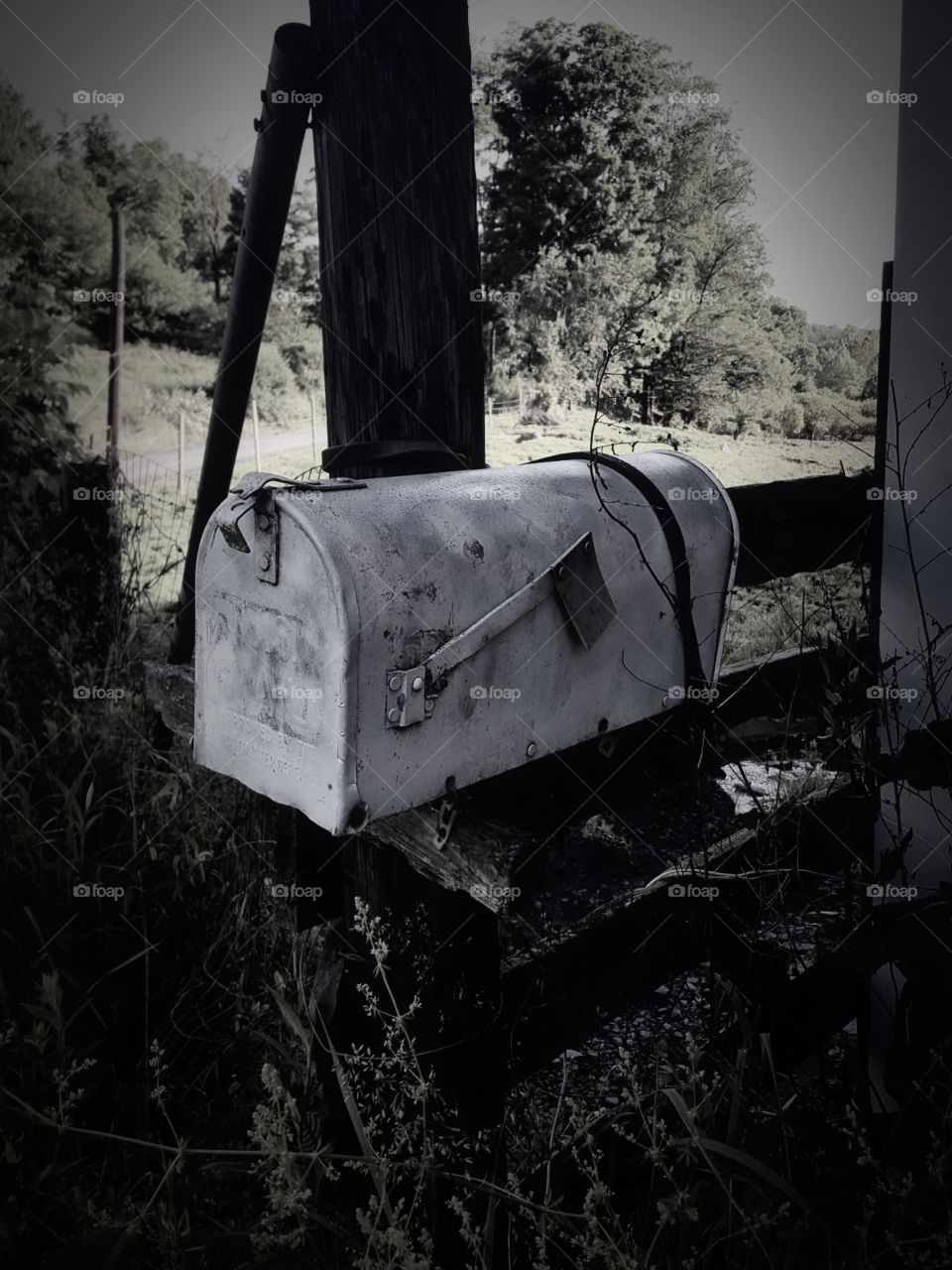 mailbox in the rough