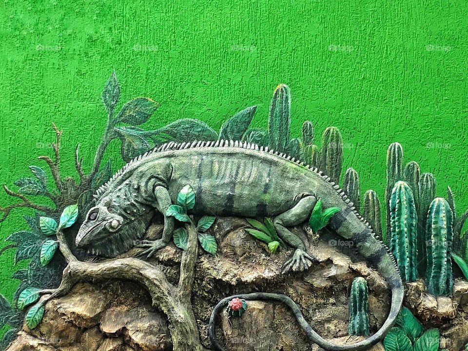 Iguana street art