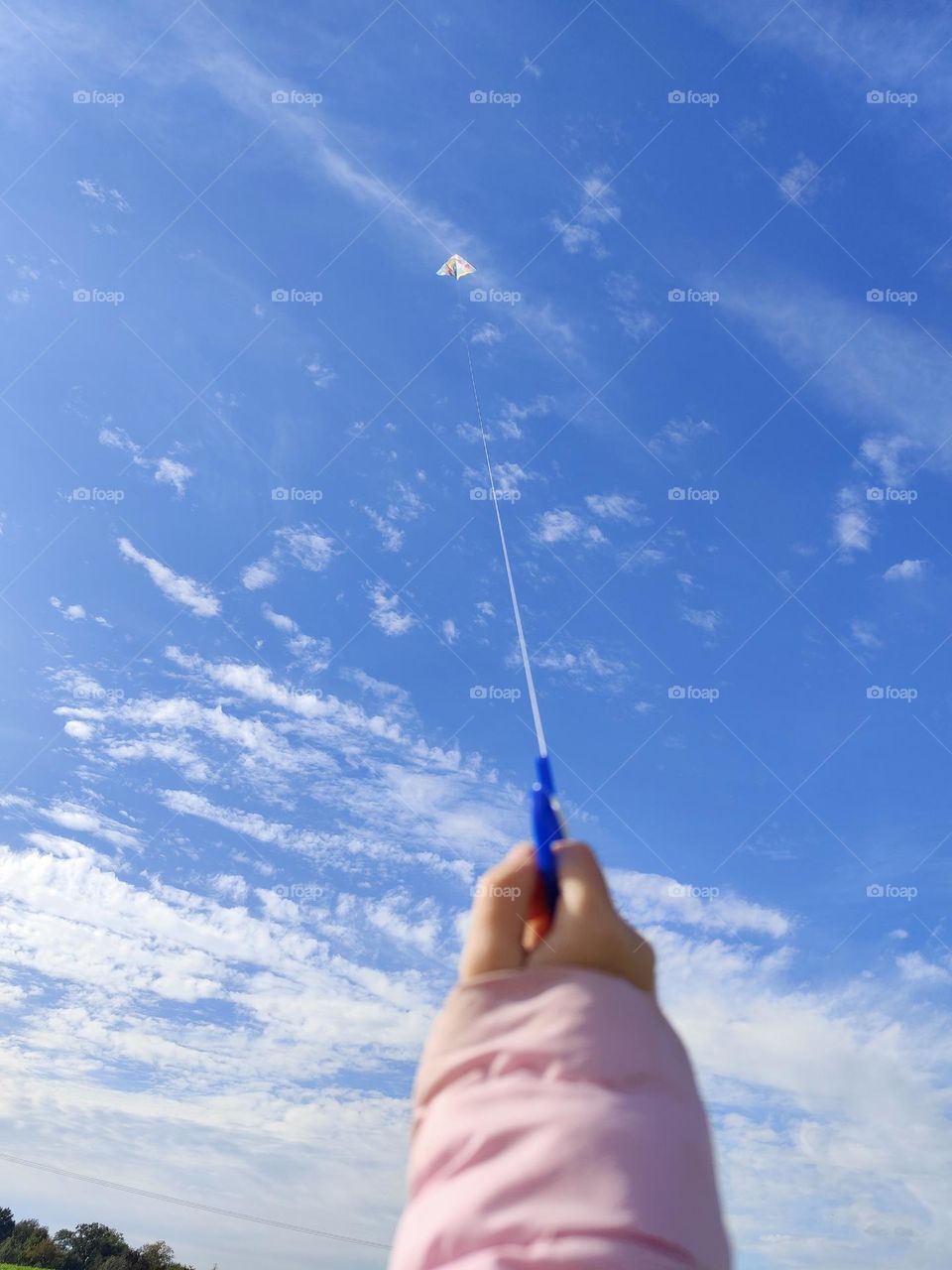 Kite, playing with the wind