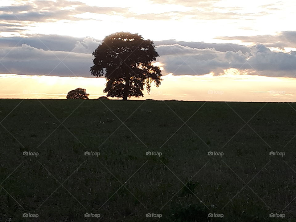 Landscape, Sunset, No Person, Cropland, Dawn