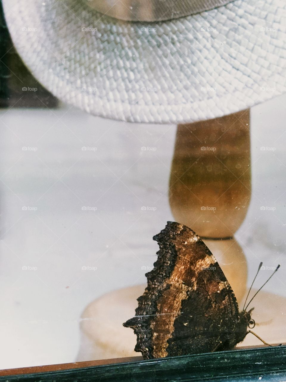 Behind a shop window.  A butterfly on the background of a wooden rack, on which a white straw hat weighs