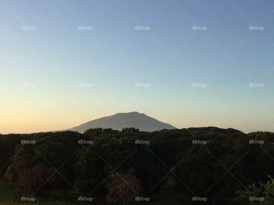 Photo of a mountain over the trees