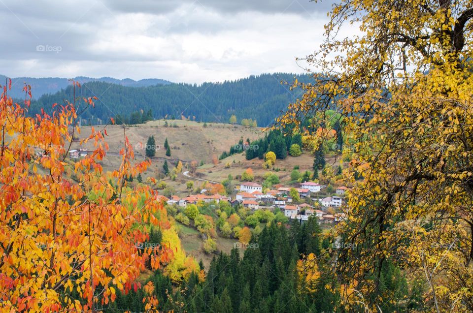 Autumn Landscape, Rhodopes Mountain, Bulgaria