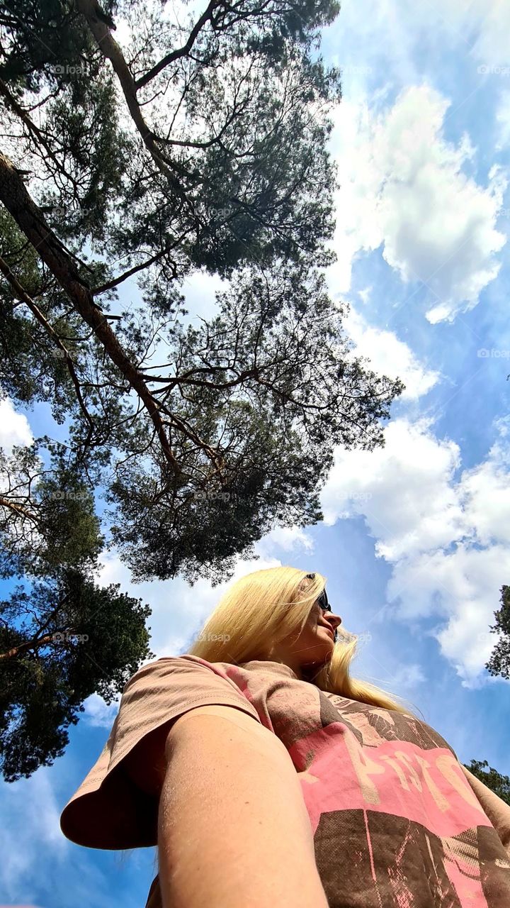 Once Upon a Time in the Woods