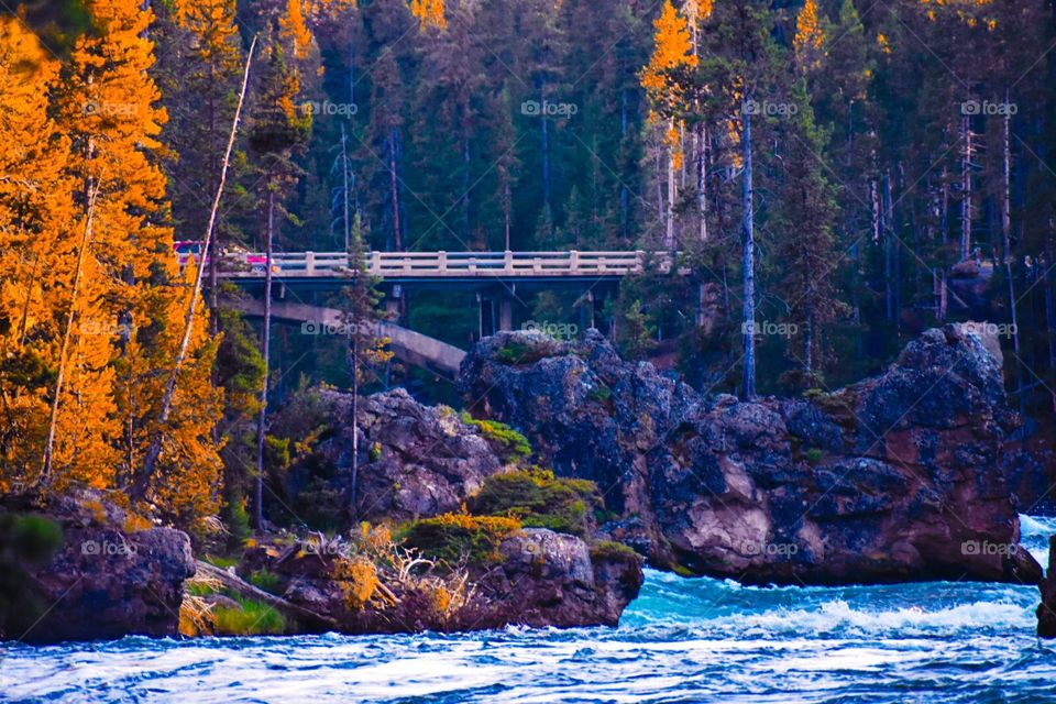 Autumn Bridge 