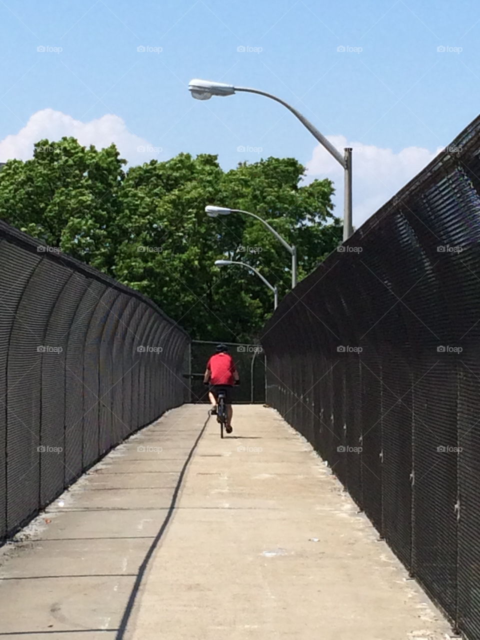 Rear view of a man cycling on bridge