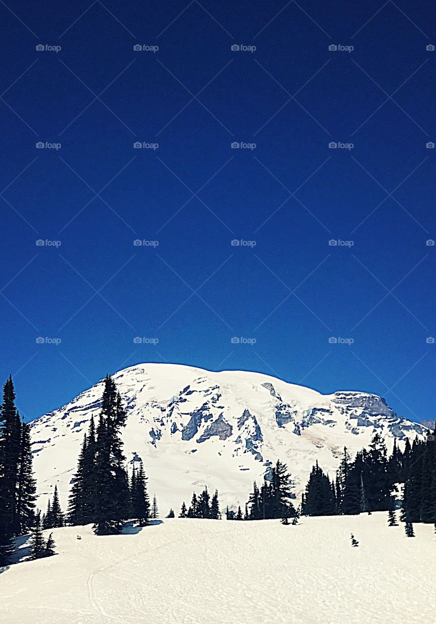 Mount rainier 