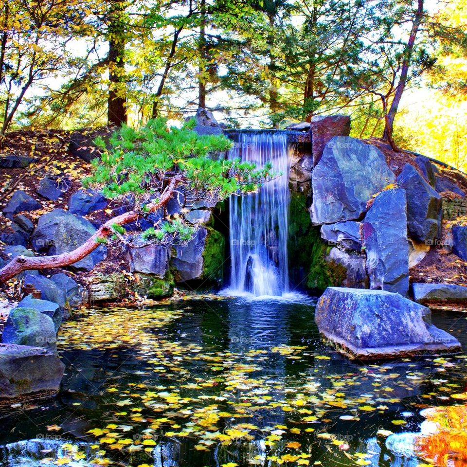 Japanese Garden water fall