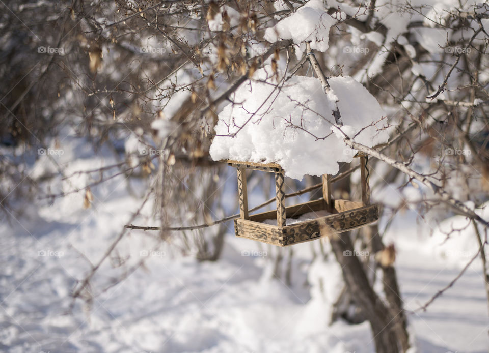 bird feeders