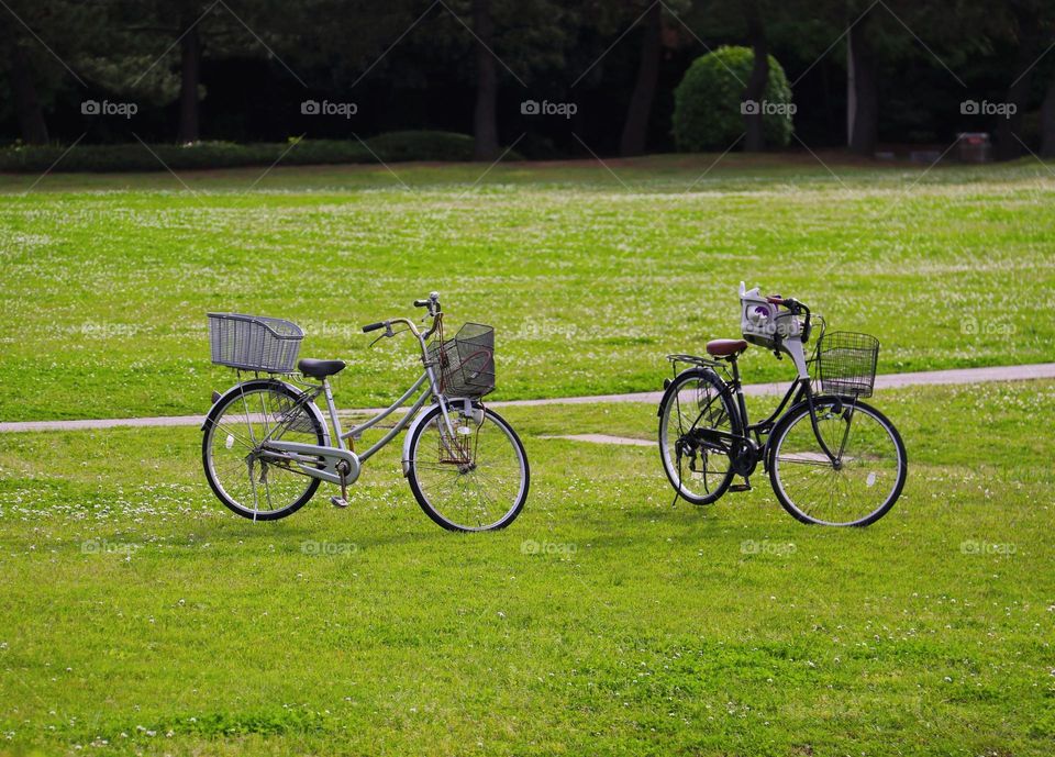Two bicycles at park