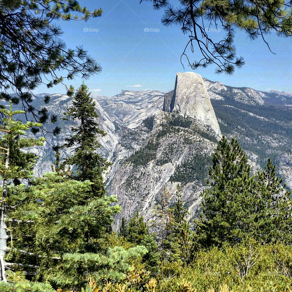 Half dome