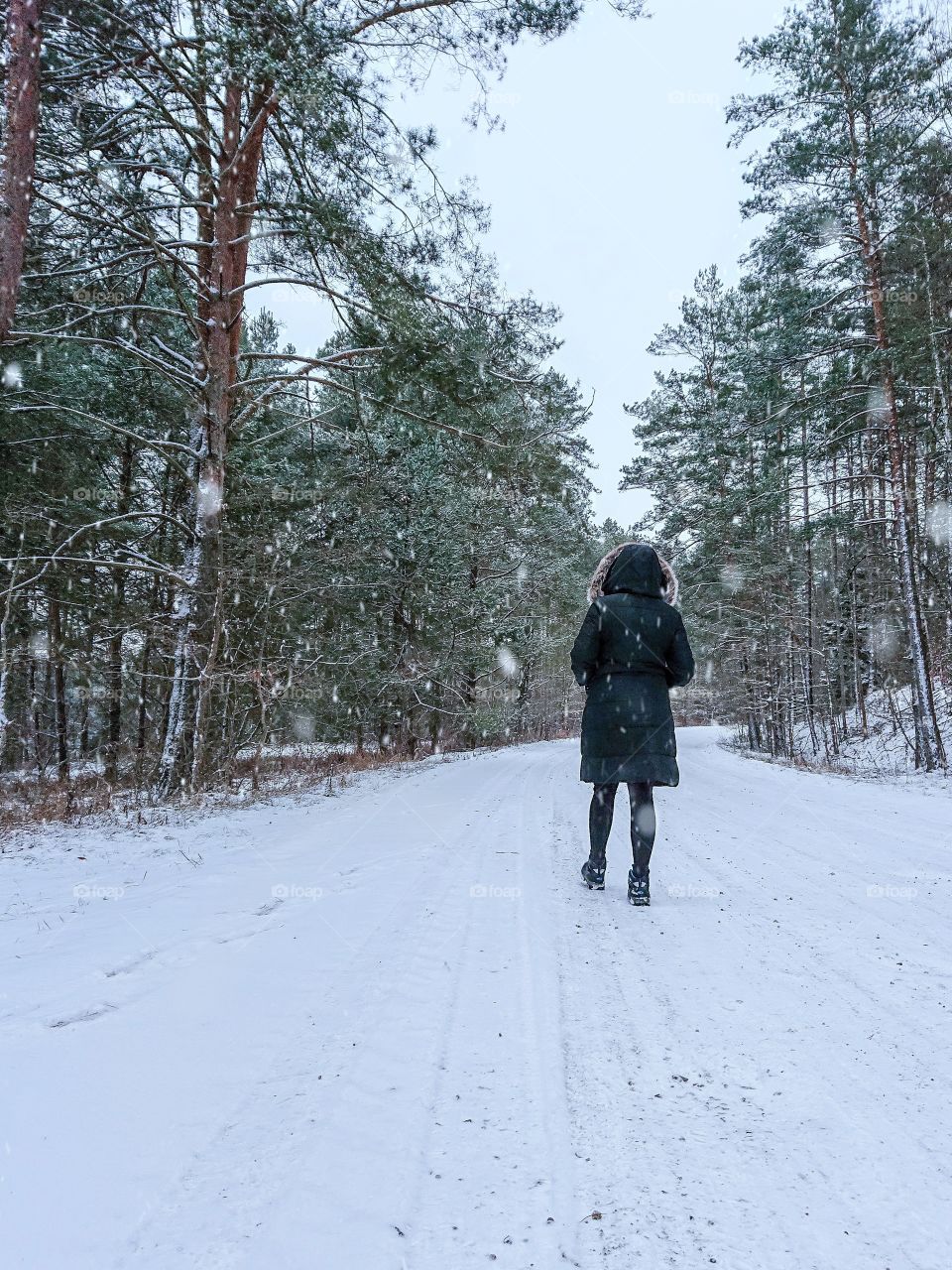 Winter walk