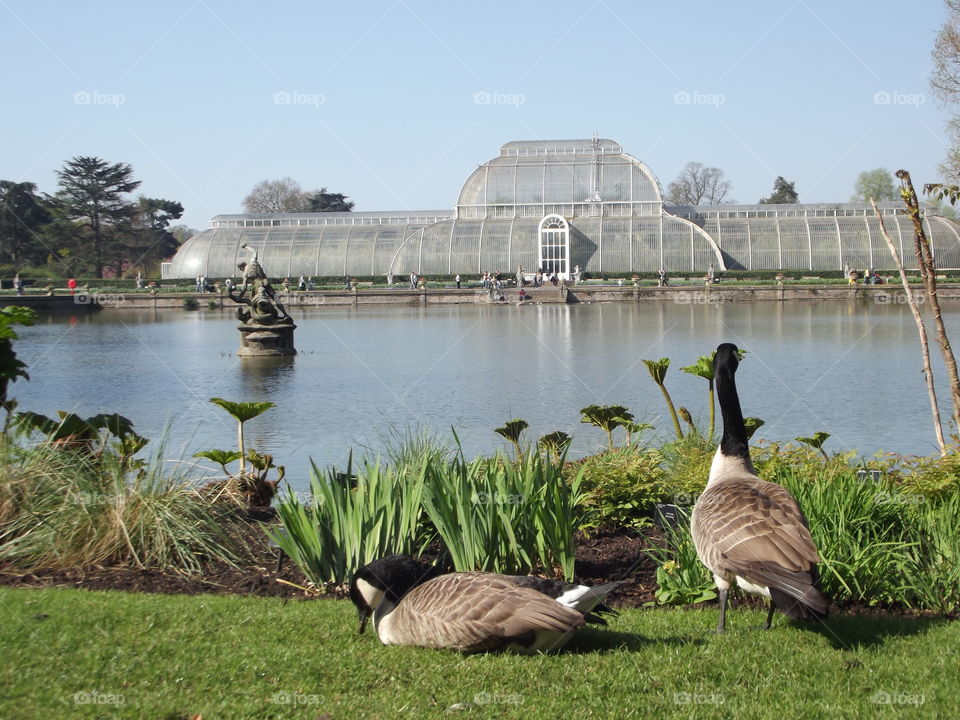 Kew Gardens London