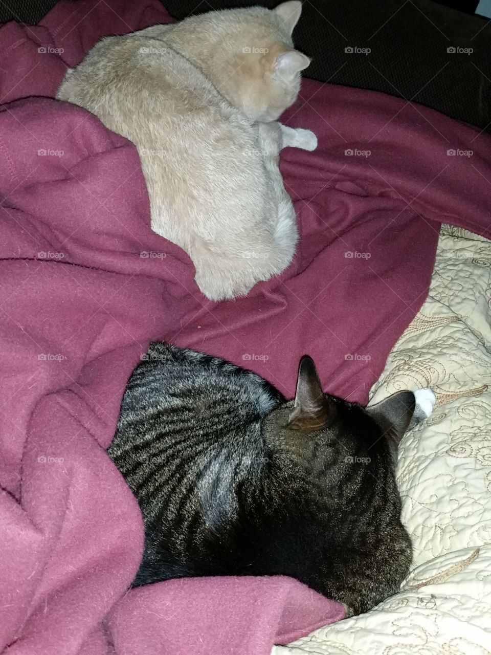 rare moments of these two at peace