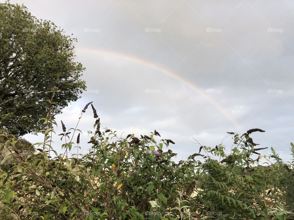There appears to be only a few short minutes to capture a rainbow, then they vanish like a magic act.