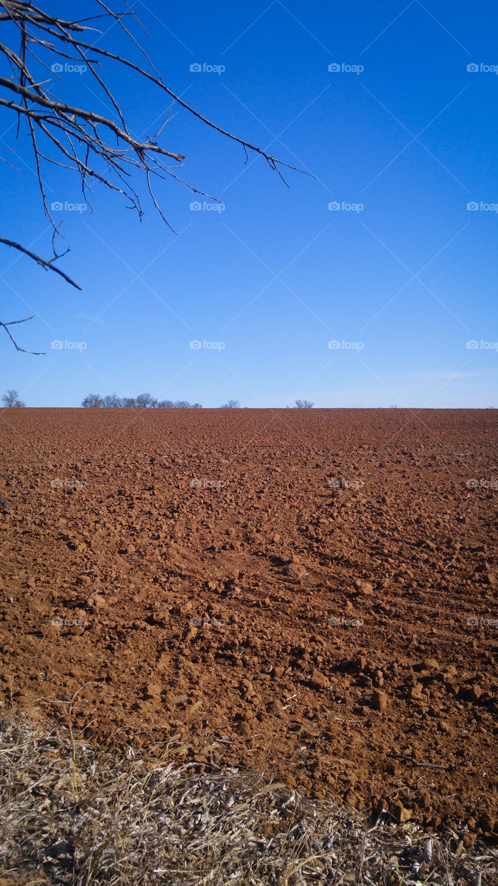 Plowed Field